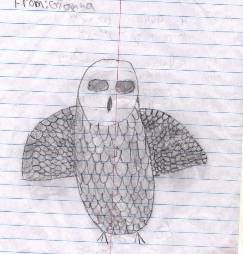 An Owl from book 4